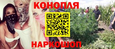 прущий лед Жуковский
