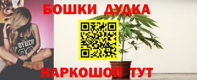 МДПВ Заволжье