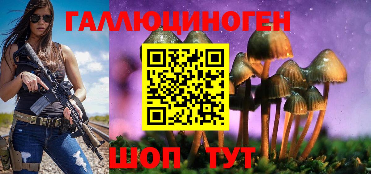 Великие Луки  Псилоцибиновые грибы Magic Shrooms  Вход с VPN 