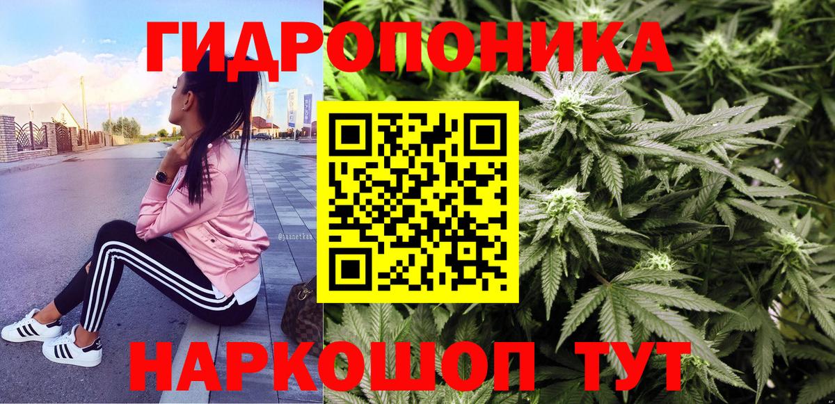 Конопля Amnesia Великие Луки